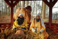 /album/fotogalerie-zoopark-na-hradecku-horni-pena/zooparknahradecku-55-jpg1/